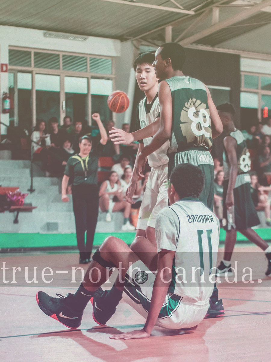 第十一期年度归档报告封面抽象图形，以年份刻度与条带构成
